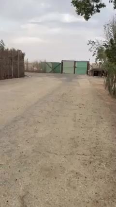 Videos