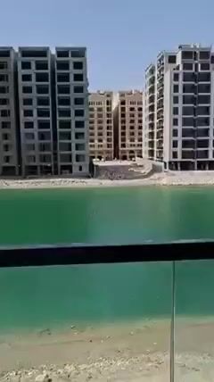 Videos