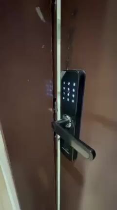 Videos
