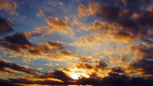 فيديو للمشروع