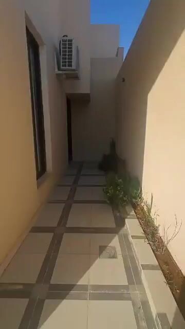 Videos