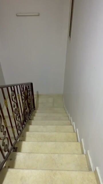Videos