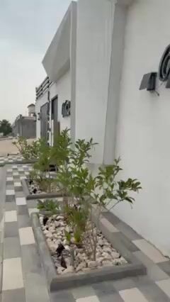 Videos
