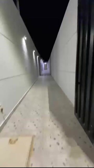 Videos