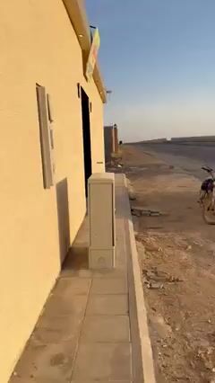 Videos