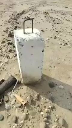 Videos