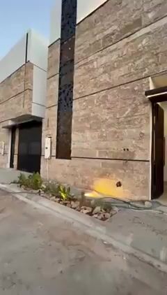 Videos