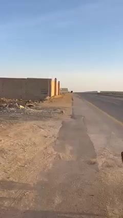 Videos