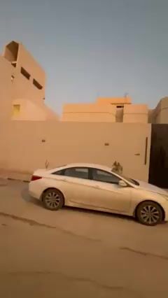 Videos