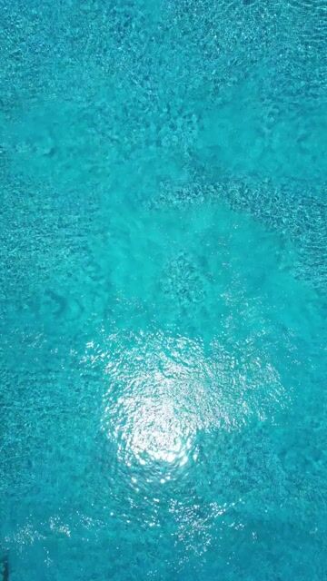 فيديو للمشروع